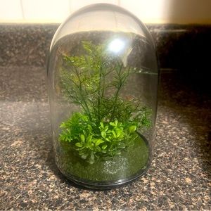 [home] small faux terrarium